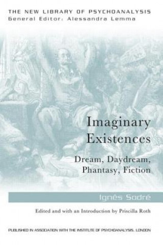 Könyv Imaginary Existences Ignes Sodre