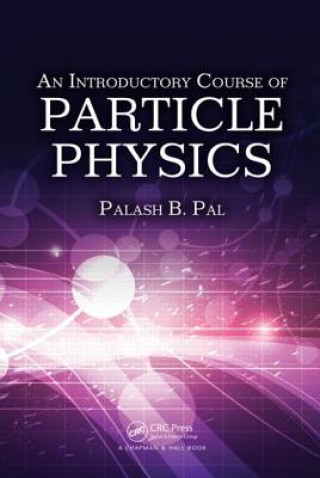 Buch Introductory Course of Particle Physics Palash B Pal