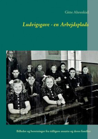 Kniha Ludvigsgave - en Arbejdsplads Gitte Ahrenkiel