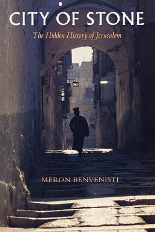 Boek City of Stone Meron Benvenisti