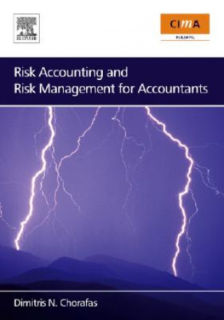 Kniha Risk Accounting and Risk Management for Accountants Dimitris Chorafas
