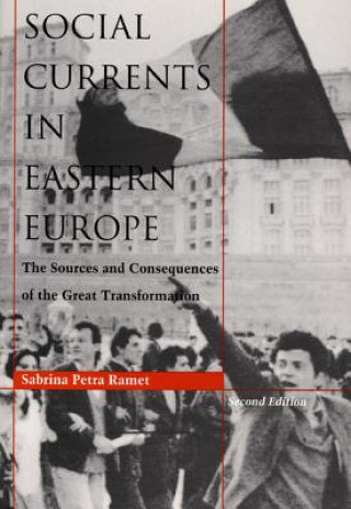 Книга Social Currents in Eastern Europe Sabrina Petra Ramet
