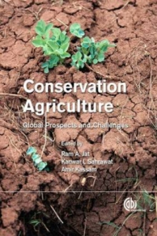 Könyv Conservation Agriculture Ram A. Jat