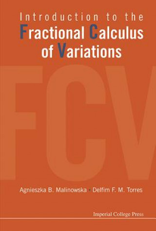 Książka Introduction To The Fractional Calculus Of Variations Delfim F. M. Torres