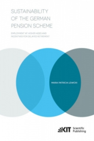 Buch Sustainability of the German Pension Scheme Maria Lewicki