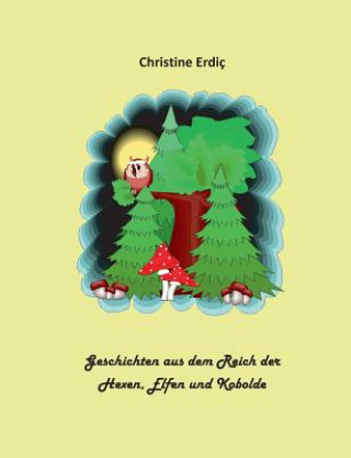 Książka Geschichten aus dem Reich der Hexen, Elfen und Kobolde Christine Erdiç