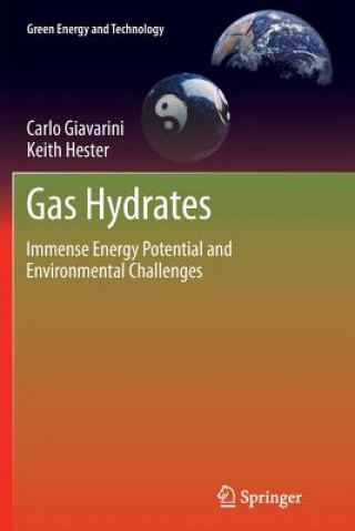 Könyv Gas Hydrates Carlo Giavarini