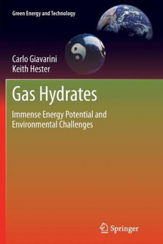 Kniha Gas Hydrates Carlo Giavarini