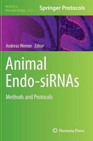 Kniha Animal Endo-SiRNAs Andreas Werner