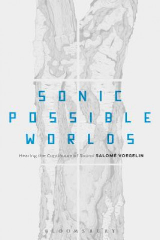 Kniha Sonic Possible Worlds Salome Voegelin