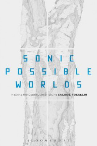 Buch Sonic Possible Worlds Salome Voegelin