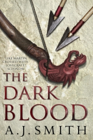 Könyv Dark Blood A.J. Smith