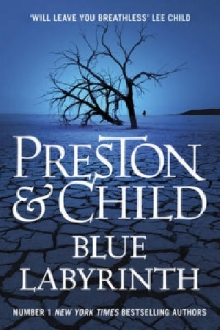 Kniha Blue Labyrinth Preston & Child