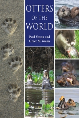 Книга Otters of the World Paul Yoxon