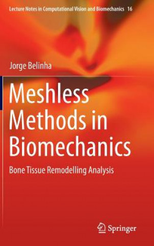 Boek Meshless Methods in Biomechanics Jorge Belinha