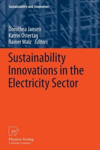 Carte Sustainability Innovations in the Electricity Sector Dorothea Jansen