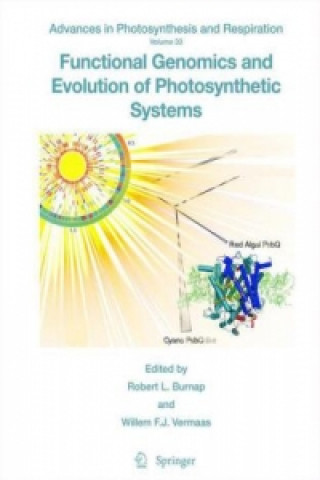 Könyv Functional Genomics and Evolution of Photosynthetic Systems Robert Burnap