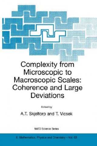 Carte Complexity from Microscopic to Macroscopic Scales: Coherence and Large Deviations Arne T. Skjeltorp