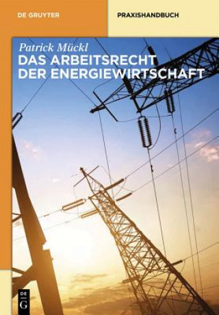 Book Arbeitsrecht der Energiewirtschaft Patrick Mückl