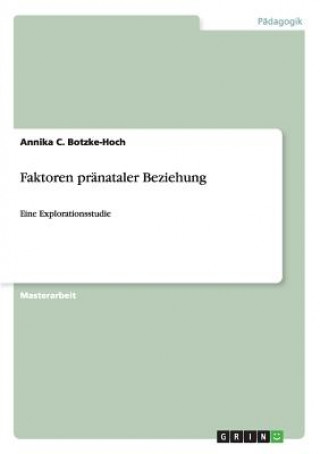 Kniha Faktoren pranataler Beziehung Annika C. Botzke-Hoch