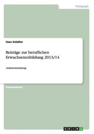 Kniha Beitrage zur beruflichen Erwachsenenbildung 2013/14 Uwe Schäfer