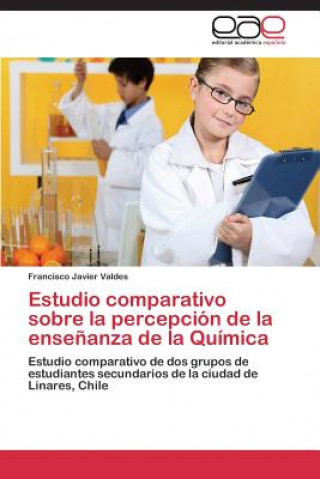 Kniha Estudio comparativo sobre la percepcion de la ensenanza de la Quimica Francisco Javier Valdes