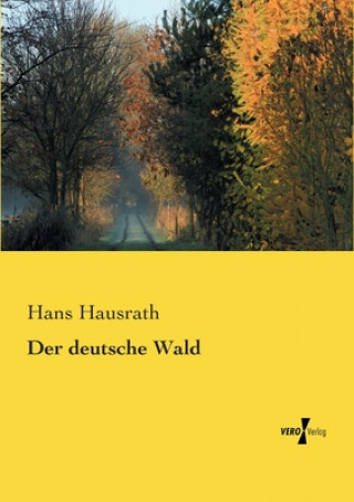Kniha deutsche Wald Hans Hausrath