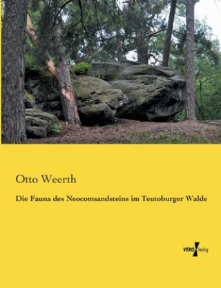 Kniha Fauna des Neocomsandsteins im Teutoburger Walde Otto Weerth