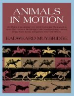 Könyv Animals in Motion Eadweard Muybridge