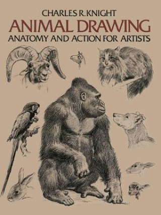 Book Animal Drawing Charles R. Knight