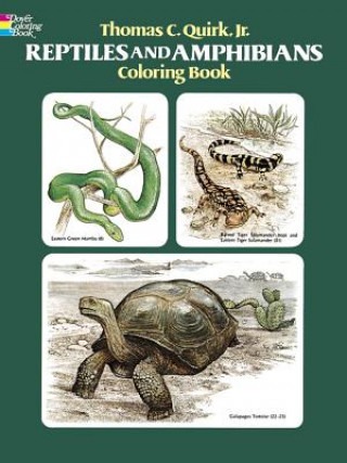 Kniha Reptiles and Amphibians Coloring Book Thomas C. Quirk