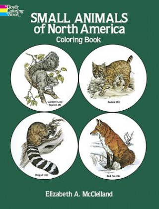 Książka Small Animals of North America Coloring Book Elizabeth Anne McClelland