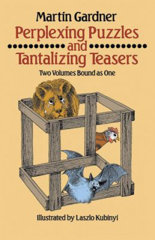 Boek Perplexing Puzzles and Tantalizing Teasers Martin Gardner