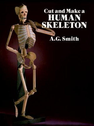 Kniha Cut and Make a Human Skeleton A. G. Smith