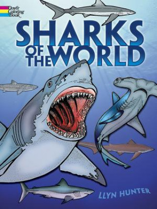 Kniha Sharks of the World Coloring Book Llyn Hunter