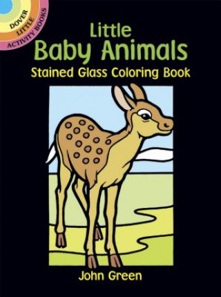 Könyv Little Baby Animals Stained Glass Colouring Book John Green