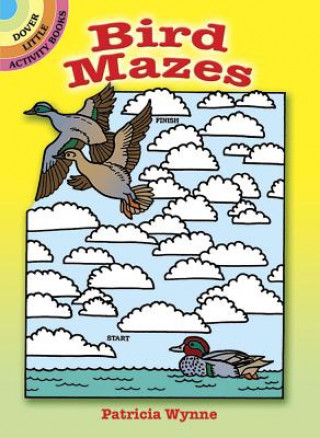 Livre Bird Mazes Patricia Wynne