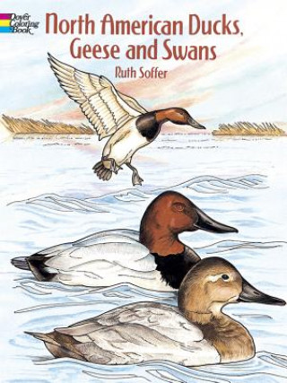Carte North American Ducks, Geese and Swans Ruth Soffer