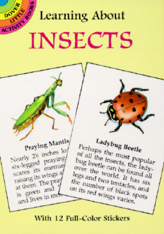Carte Learning about Insects Sovak