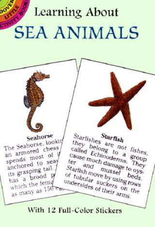 Carte Learning About Sea Animals Sy Barlowe