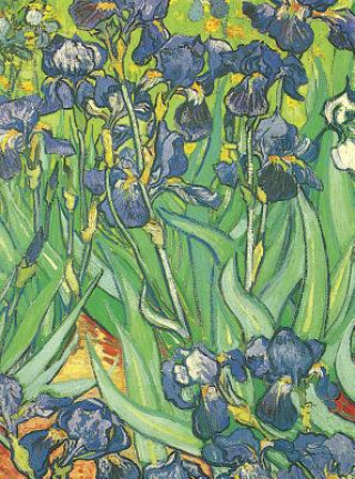 Książka Van Gogh Notebook Vincent Van Gogh