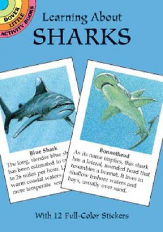 Book Learning about Sharks Sovak