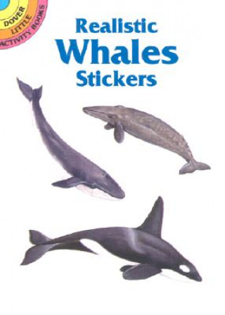 Kniha Realistic Whales Stickers Jan Sovák