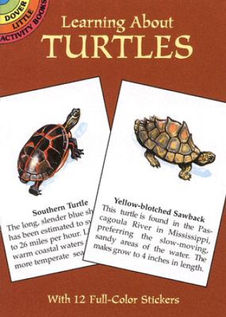 Kniha Learning about Turtles Jan Sovák