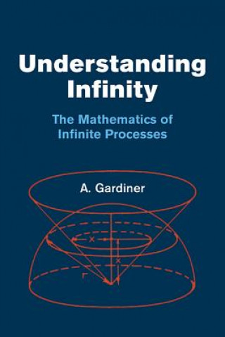 Kniha Understanding Infinity A Gardiner