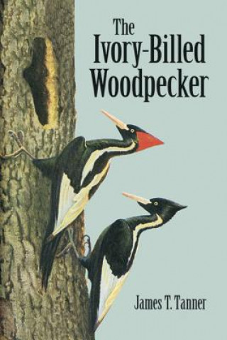 Könyv Ivory-Billed Woodpecker James T. " "Tanner