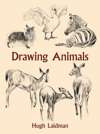 Książka Drawing Animals Hugh Laidman