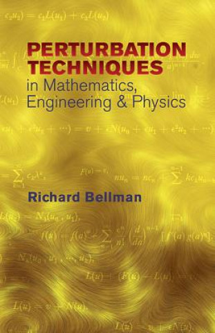 Carte Perturbation Techniques in Mathematics Richard Bellman