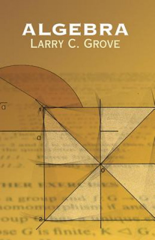 Buch Algebra Larry C. Grove