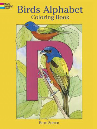 Kniha Birds Alphabet Ruth Soffer
